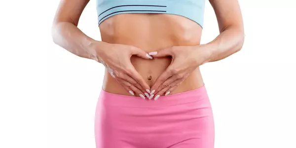 Milchsäurebakterien