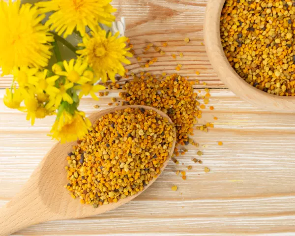 Blütenpollen