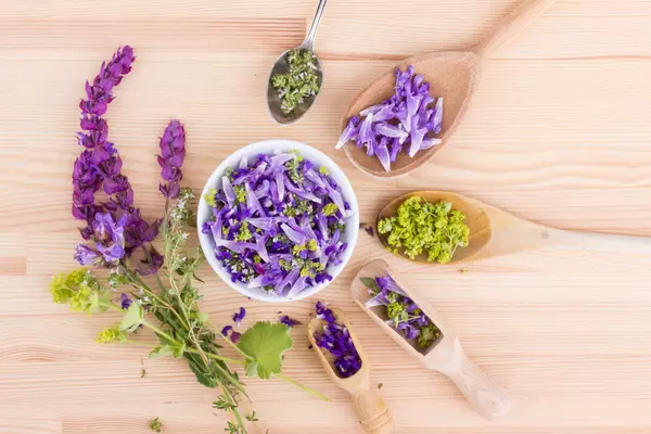 Essbare Wildkräuter