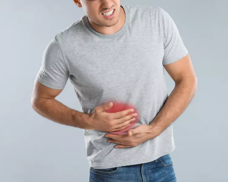 Das andere Organ für unsere Verdauung
