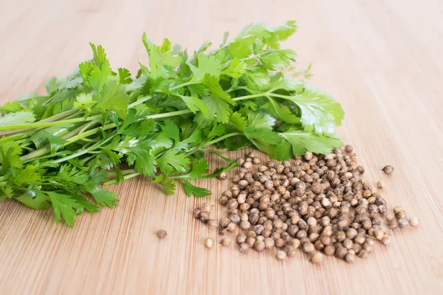 10 Tipps für frische Würze mit zitrusartiger Note