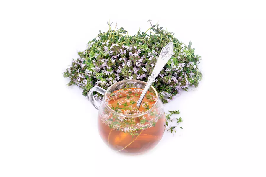 10 Tipps zur besten Anwendung eines klassischen Küchen- und Heilkräuters