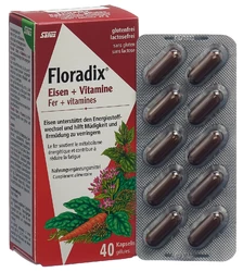 Salus Floradix Eisen + Vitamine Kapsel (#)