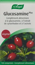 A. Vogel Glucosamin Glucosmin Plus Tblette mit Hgebuttenextrkt