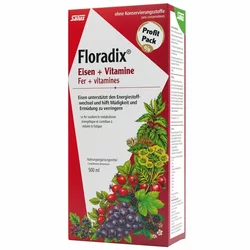 Salus Floradix Eisen + Vitamine Profit Pack