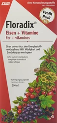 Salus Floradix Eisen + Vitamine Profit Pack