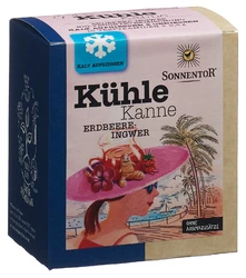 SONNENTOR Kühle Kanne Teepyramiden Erdbeer-Ingwer BIO