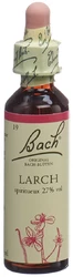 Bach Original larch no19