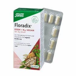Salus Floradix VEGAN Eisen + Vitamin B12 Kapsel