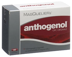 Masquelier's Anthogenol Kapsel mit OPC