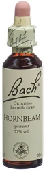Bach Original Hornbeam No17