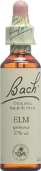 Bach Original Elm No11