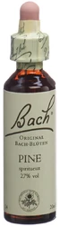 Bach Original Pine No24