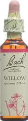 Bach Original Willow No38