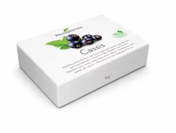 Phytopharma Cassis Pastillen