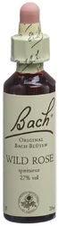 Bach Original Wild Rose No37