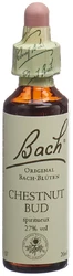Bach Original Chestnut Bud No07