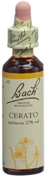 Bach Original Cerato No05