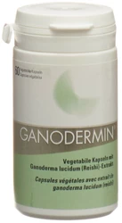 Ganodermin extrait de champignon vital caps