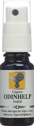 ODINHELP Spray nach Dr Bach Blütenessenz Mischung