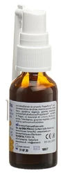 Propolis Mundspray