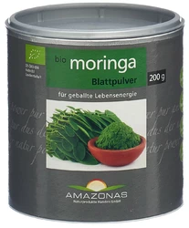 moringa Bio Blattpulver 100 % pur