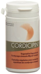 Cordicipin Vital Pilzextrakt Kapsel
