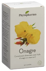 Phytopharma Nachtkerze Kapsel 500 mg