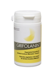 Grifolanin Vital Pilzextrakt Kapsel