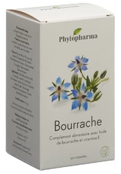 Phytopharma Borretsch Kapsel 500 mg