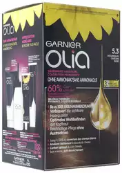 GARNIER OLIA Haarfarbe 5.3 Goldbraun