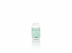PHYTOMED Infit Magnesium-Complex Pulver