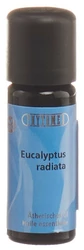 PHYTOMED Eucalyptus radiata Ätherisches Öl Bio