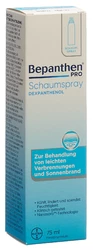 Bepanthen PRO Schaumspray Aeros