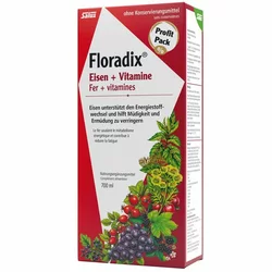 Salus Floradix Eisen + Vitamine Profit Pack