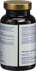 Pernaton Grünlippmuschel Kapsel 350 mg
