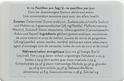 Phytopharma Ingwer Fly and Drive Pastillen