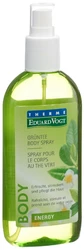 EDUARD VOGT THERME ENERGY body spray thé vert