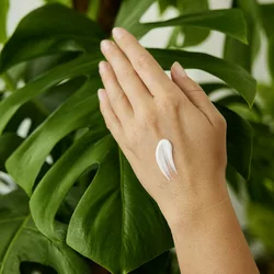 WELEDA Hand- und Nagelcreme Citrus