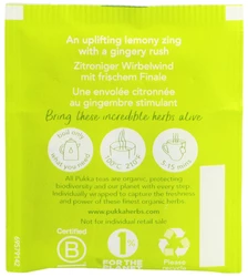 Pukka Zitronengras & Ingwer Tee bio