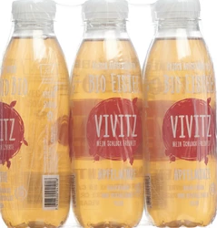 VIVITZ Bio Eistee Apfelminze
