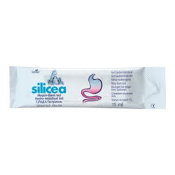 hübner Silicea Magen Darm Direct Gel