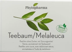 Phytopharma Teebaumoel Pastillen