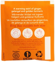 Pukka Drei Ingwer Tee Bio