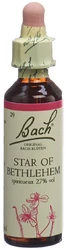 Bach Original Star of Bethlehem No29