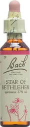 Bach Original Star of Bethlehem No29