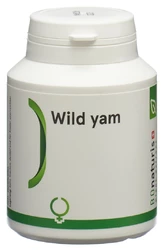 BIOnaturis Wild Yam Pulver Kapsel 240 mg