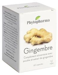 Phytopharma Ingwer Kapsel 365 mg