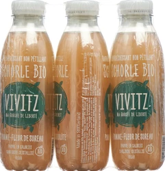 VIVITZ Bio Schorle Apfel Holunderblüte