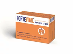Fortevital magnesium cpr eff